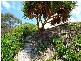 142 Main Street, Wooli NSW 2462
