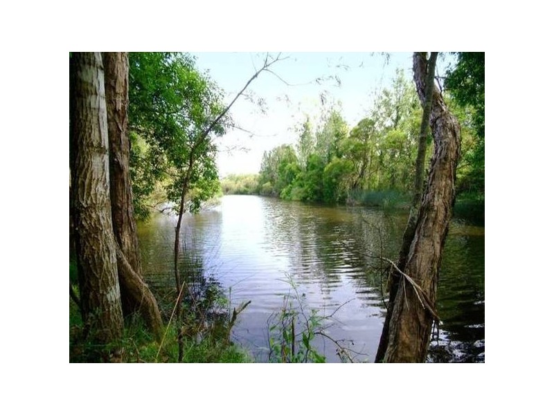 265 Stonehouse Road, Pillar Valley NSW 2462