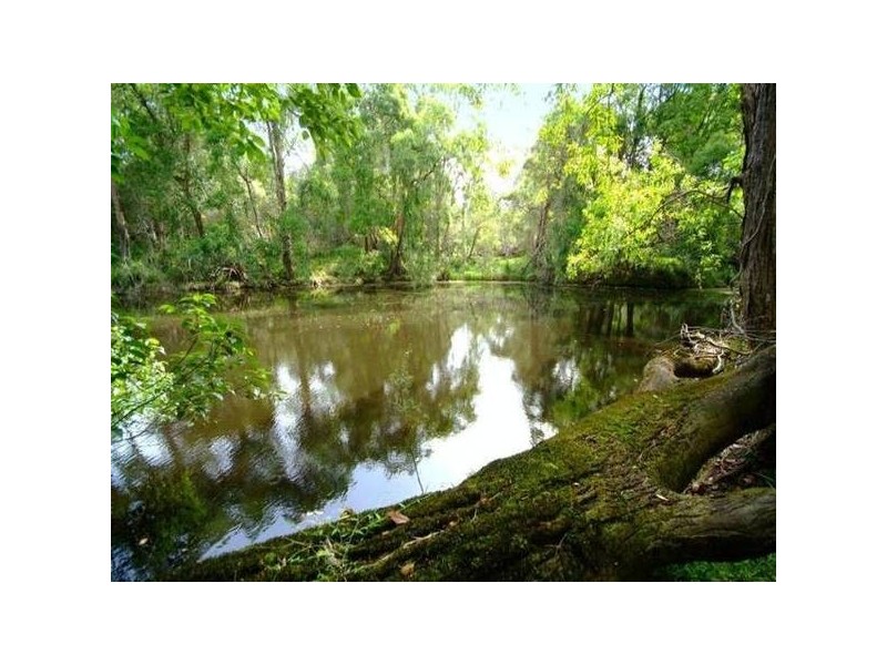 265 Stonehouse Road, Pillar Valley NSW 2462