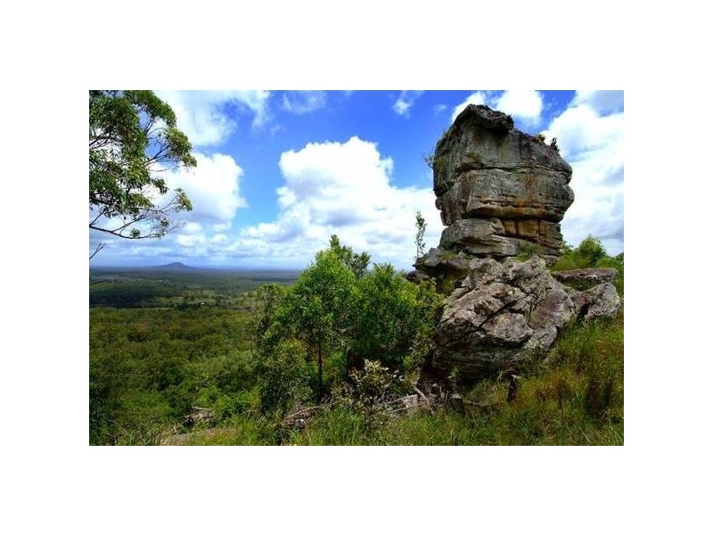 1321 Wooli Road, Pillar Valley NSW 2462