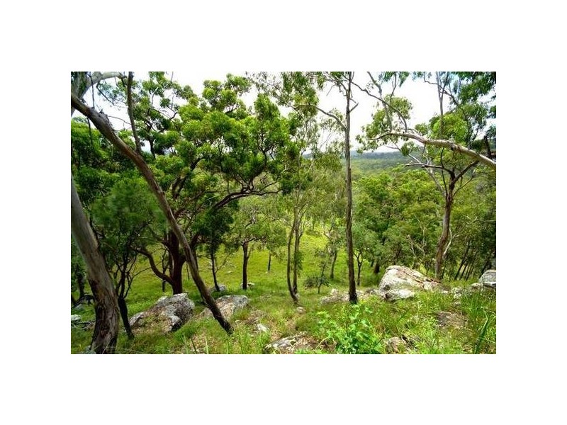1321 Wooli Road, Pillar Valley NSW 2462