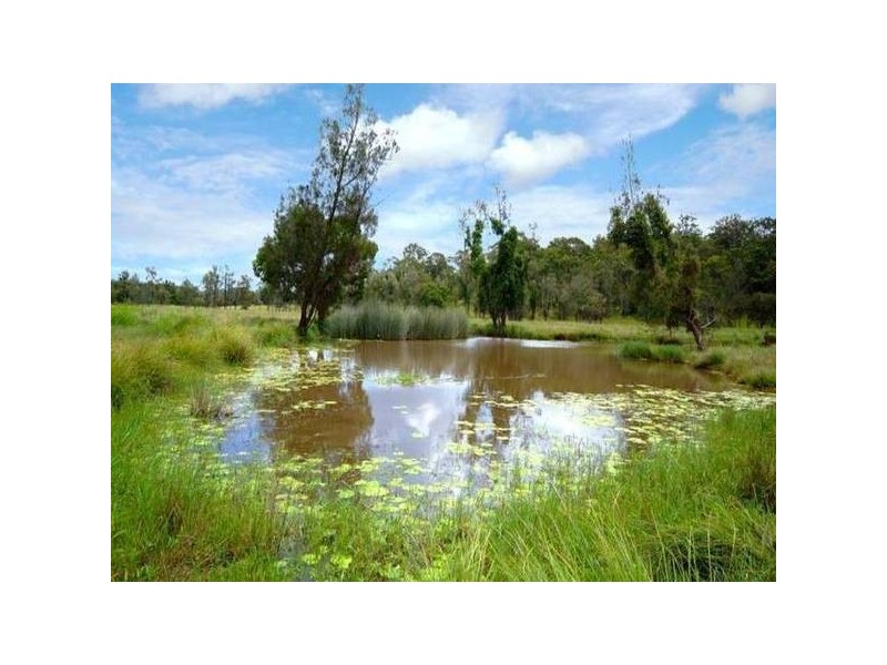 1321 Wooli Road, Pillar Valley NSW 2462