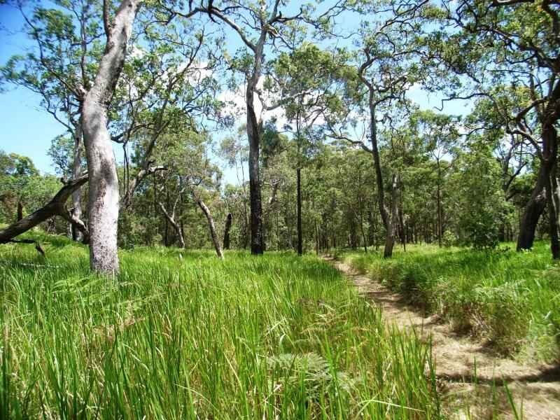 Lot 64 Wooli Road, Pillar Valley NSW 2462