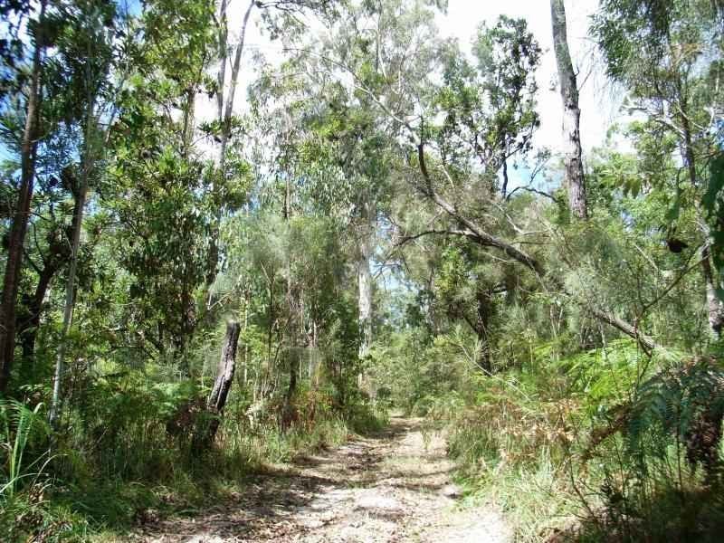 Lot 64 Wooli Road, Pillar Valley NSW 2462