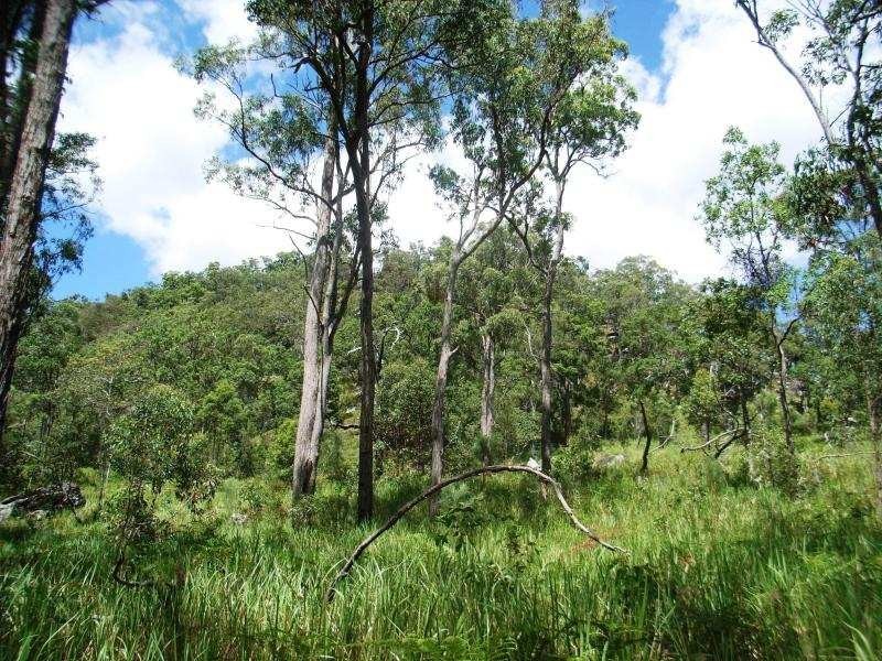 Lot 64 Wooli Road, Pillar Valley NSW 2462