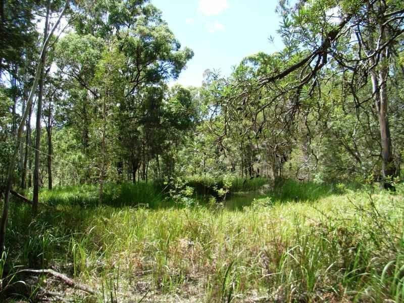 Lot 64 Wooli Road, Pillar Valley NSW 2462