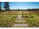 1178 Wooli Road, Pillar Valley NSW 2462