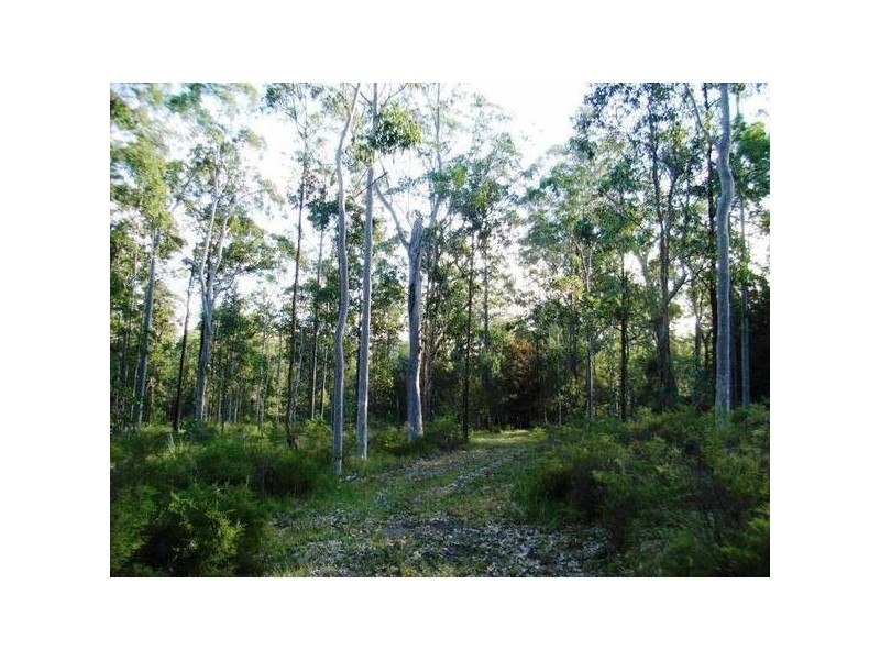 117 Barry’s Bridge Road, Pillar Valley NSW 2462