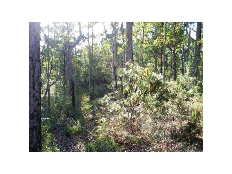 117 Barry’s Bridge Road, Pillar Valley NSW 2462