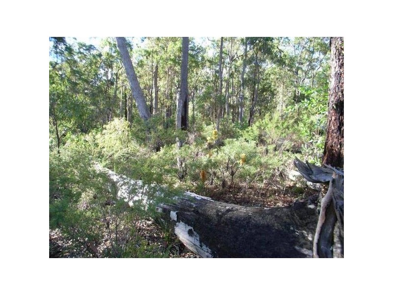 117 Barry’s Bridge Road, Pillar Valley NSW 2462