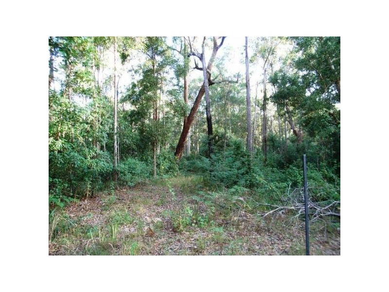 117 Barry’s Bridge Road, Pillar Valley NSW 2462