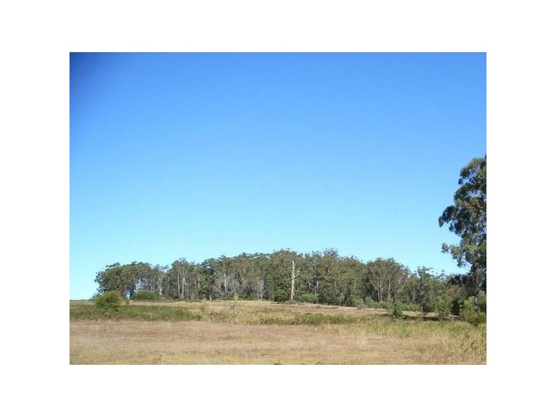 245 Stonehouse Rd, Pillar Valley NSW 2462