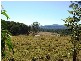 245 Stonehouse Rd, Pillar Valley NSW 2462