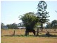 Lot 1,  Bellengen Street, Tucabia NSW 2462
