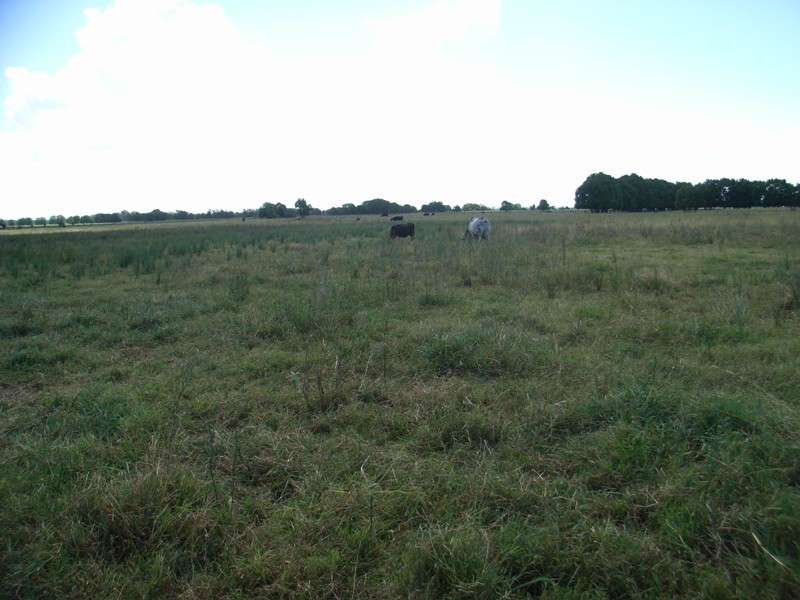 Lot 485,  Campbells Lane, Ulmarra NSW 2462