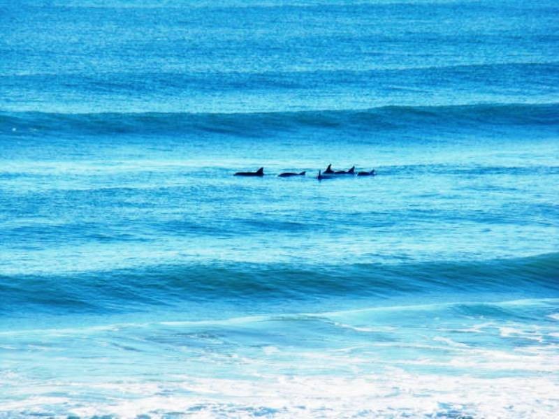 56 Main Street, Wooli NSW 2462