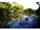 633 Firth Heinz Road, Pillar Valley NSW 2462