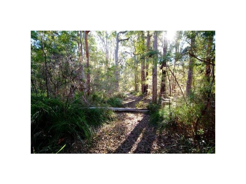 633 Firth Heinz Road, Pillar Valley NSW 2462