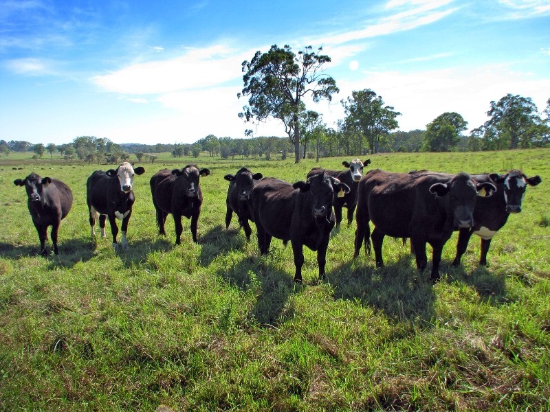 326 Upper Coldstream Road, Tyndale NSW 2460
