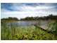 692 Firth Heinz, Pillar Valley NSW 2462