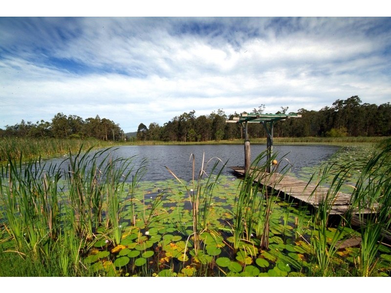692 Firth Heinz, Pillar Valley NSW 2462