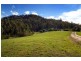 692 Firth Heinz, Pillar Valley NSW 2462