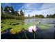 692 Firth Heinz, Pillar Valley NSW 2462