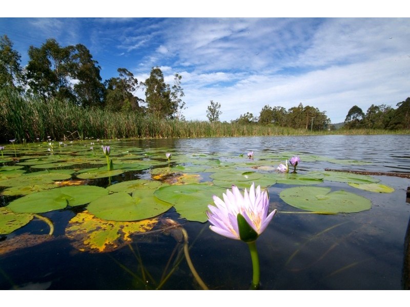 692 Firth Heinz, Pillar Valley NSW 2462