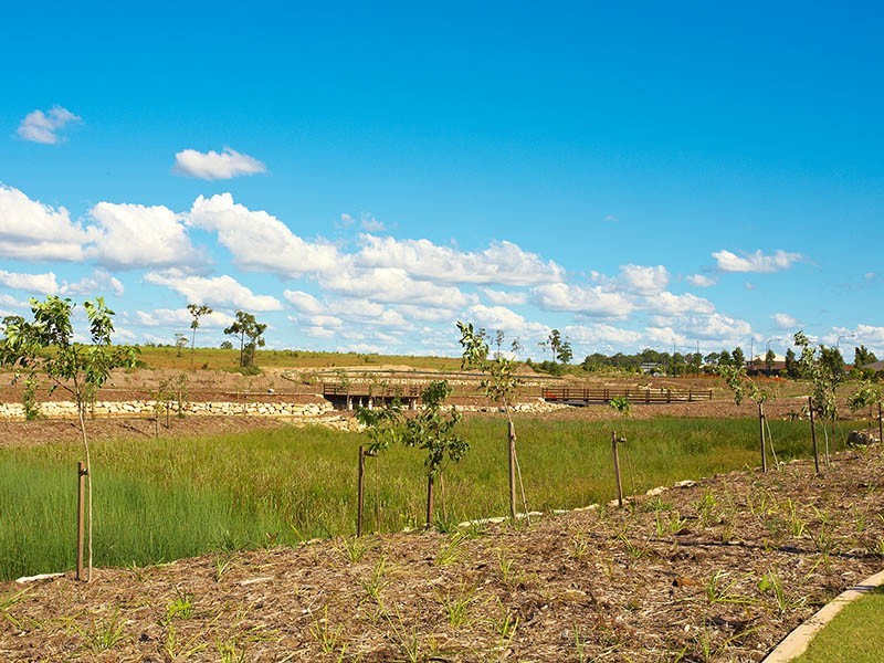12 Eaton Close, North Lakes QLD 4509