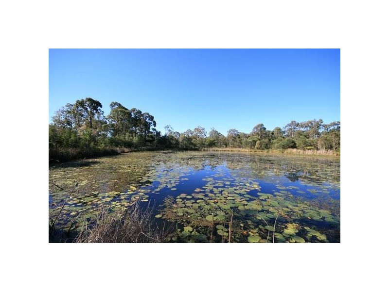 22 Whitecedar Circuit, North Lakes QLD 4509