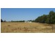 425 Cobden-South Ecklin Road, Elingamite North VIC 3266
