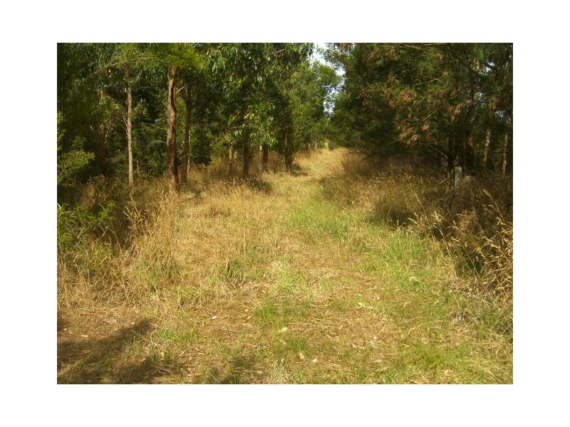 425 Cobden-South Ecklin Road, Elingamite North VIC 3266