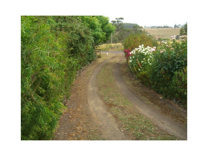 Scotts Creek VIC 3267