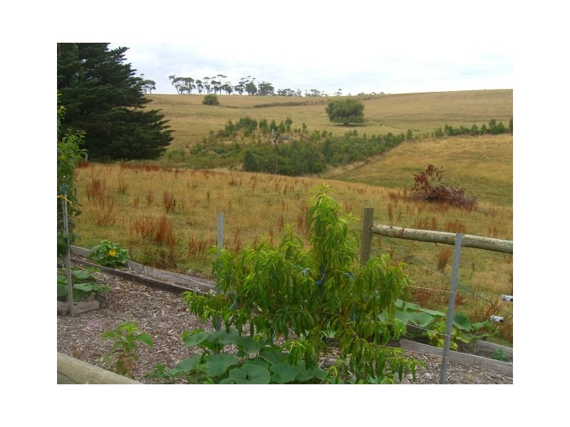 Scotts Creek VIC 3267