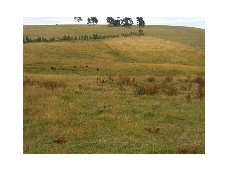 Scotts Creek VIC 3267