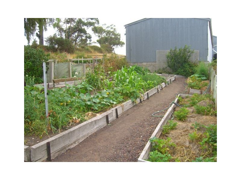 Scotts Creek VIC 3267