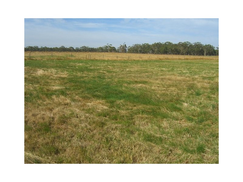 425B Cobden-South Ecklin Rd, Elingamite North VIC 3266