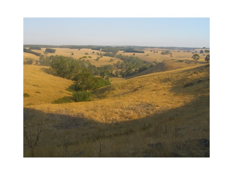 Elingamite VIC 3266