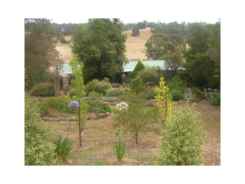 130 Cobden-Port Campbell Road, Scotts Creek VIC 3267
