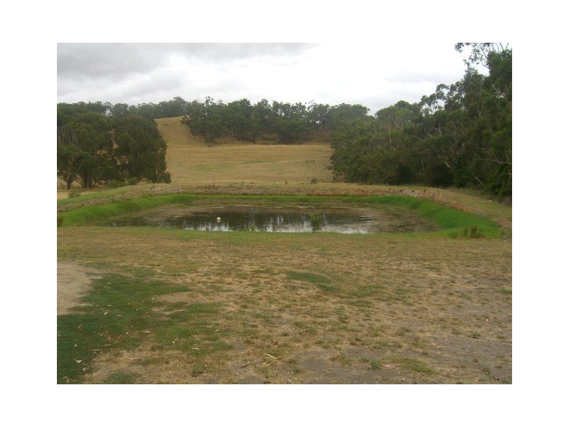 130 Cobden-Port Campbell Road, Scotts Creek VIC 3267