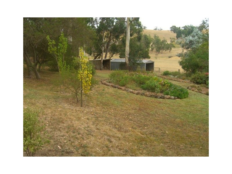 130 Cobden-Port Campbell Road, Scotts Creek VIC 3267