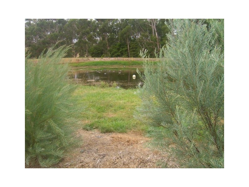 130 Cobden-Port Campbell Road, Scotts Creek VIC 3267