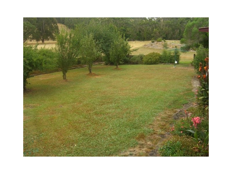 130 Cobden-Port Campbell Road, Scotts Creek VIC 3267