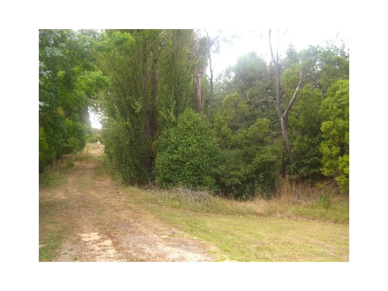 Church Street, Timboon VIC 3268