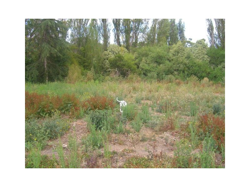 Church Street, Timboon VIC 3268