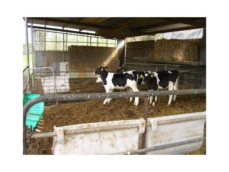 601 Boorook Road, Timboon VIC 3268