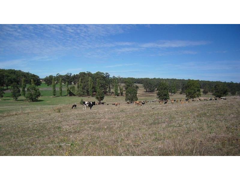 250 Kennedys Creek Road, Kennedys Creek VIC 3239