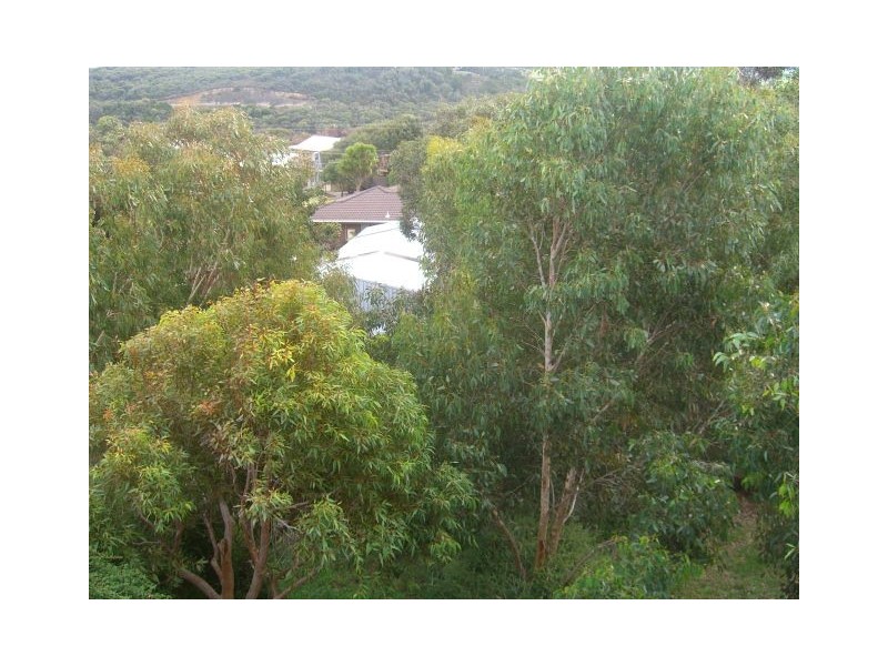 Port Campbell VIC 3269