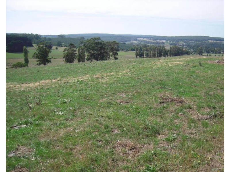 Kennedys Creek VIC 3239