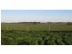 577 Wangoom Road, Warrnambool VIC 3280